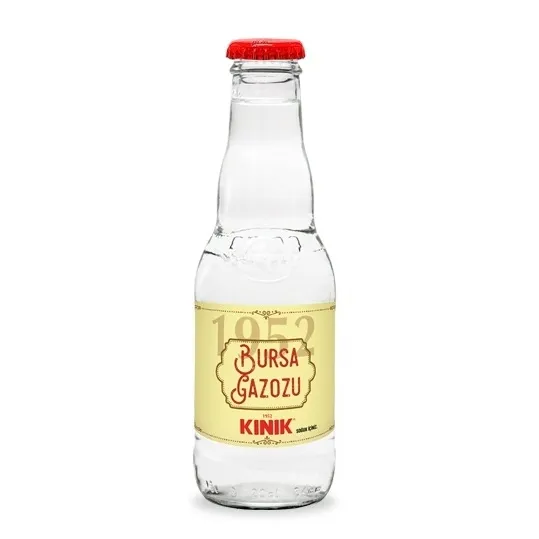 BURSA GAZOZU